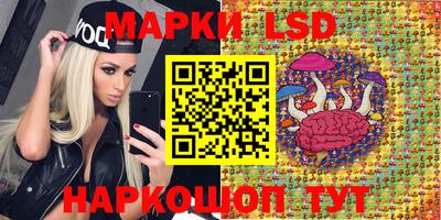 молекула духа Новозыбков