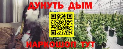 молекула духа Новозыбков