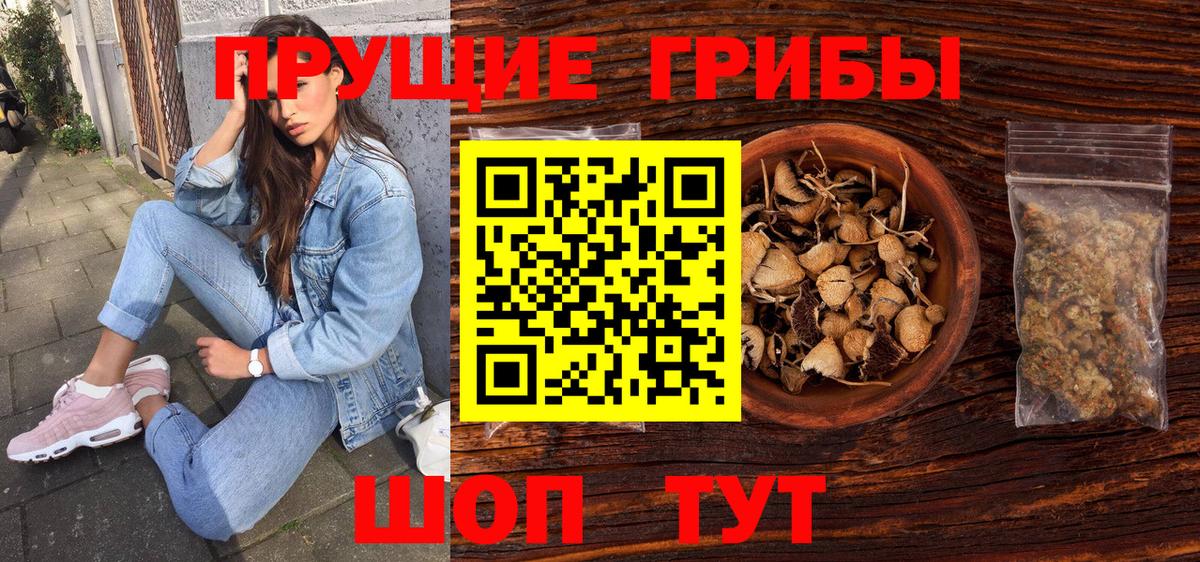 Псилоцибиновые грибы мицелий Феодосия